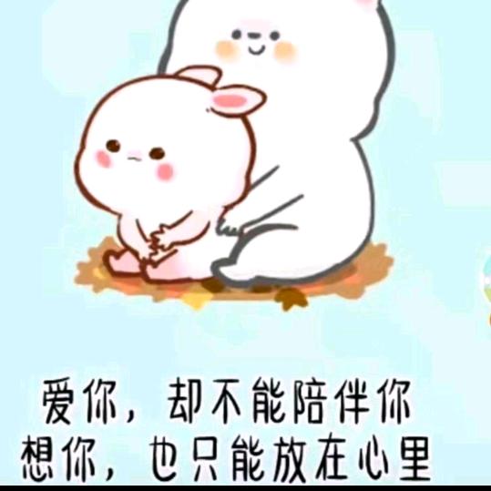 （珍）💯🌈🌈🌈