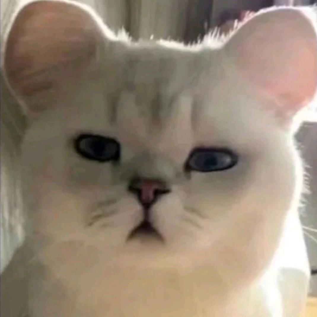 嘎嘎嘎