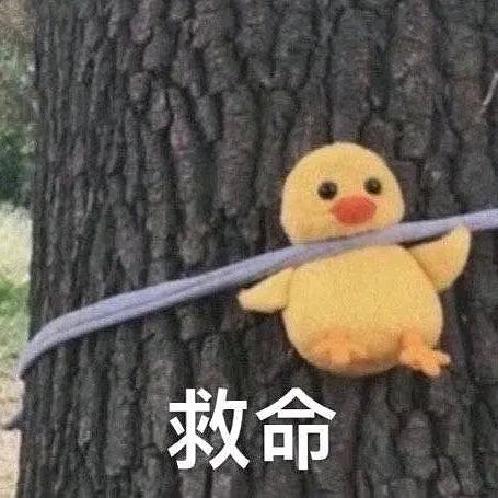 涵鱼