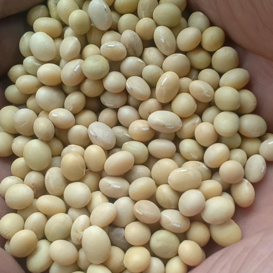 李氏豆业