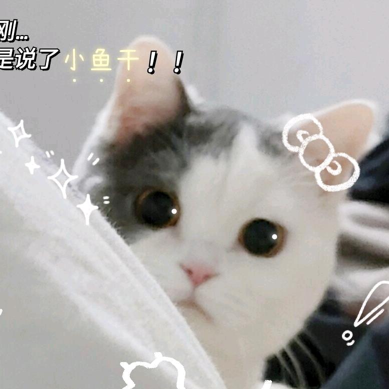 交交黄鸟止于棘