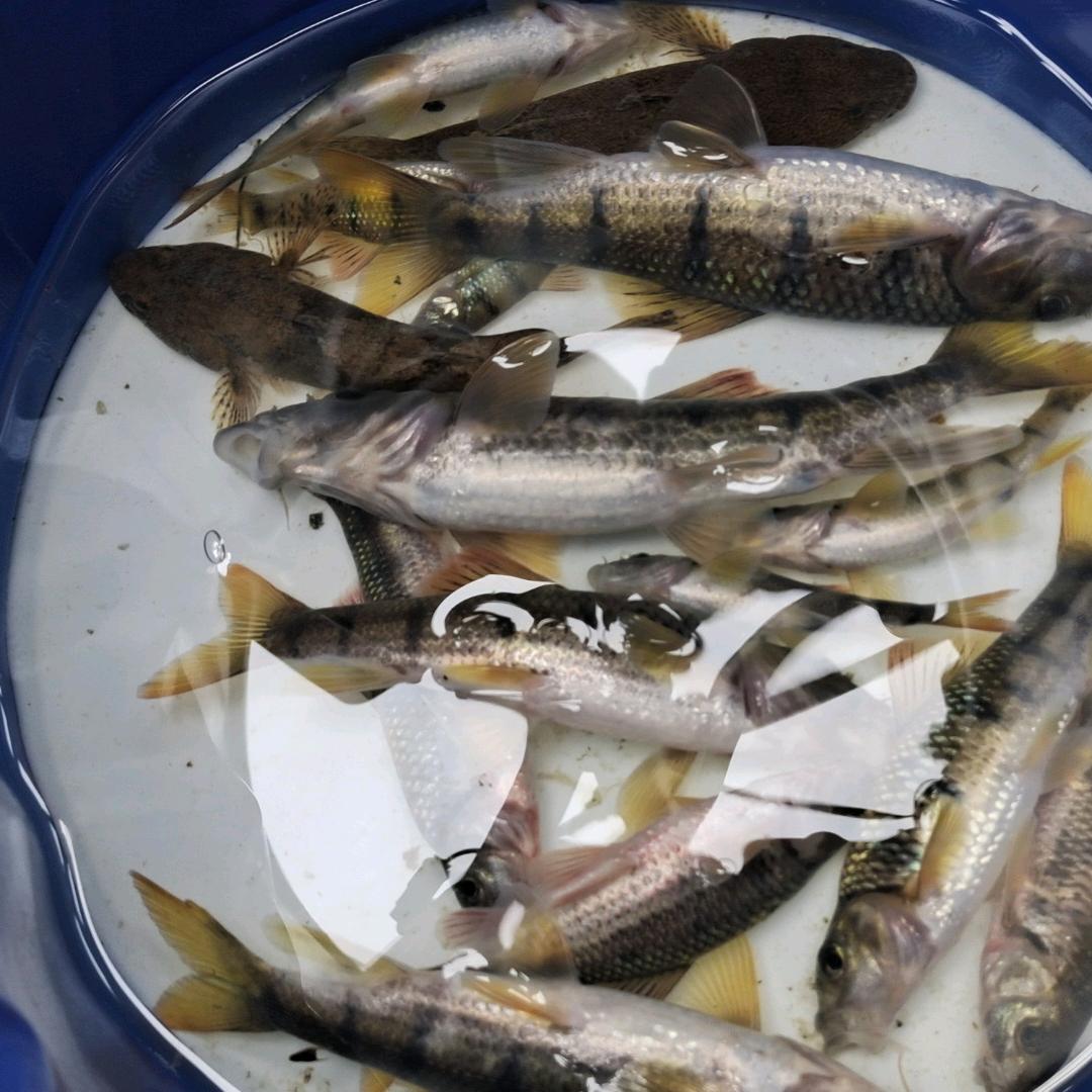 闲得慌