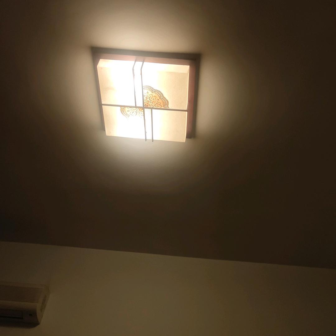 琦佳