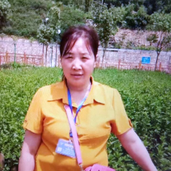 开开心心美一天