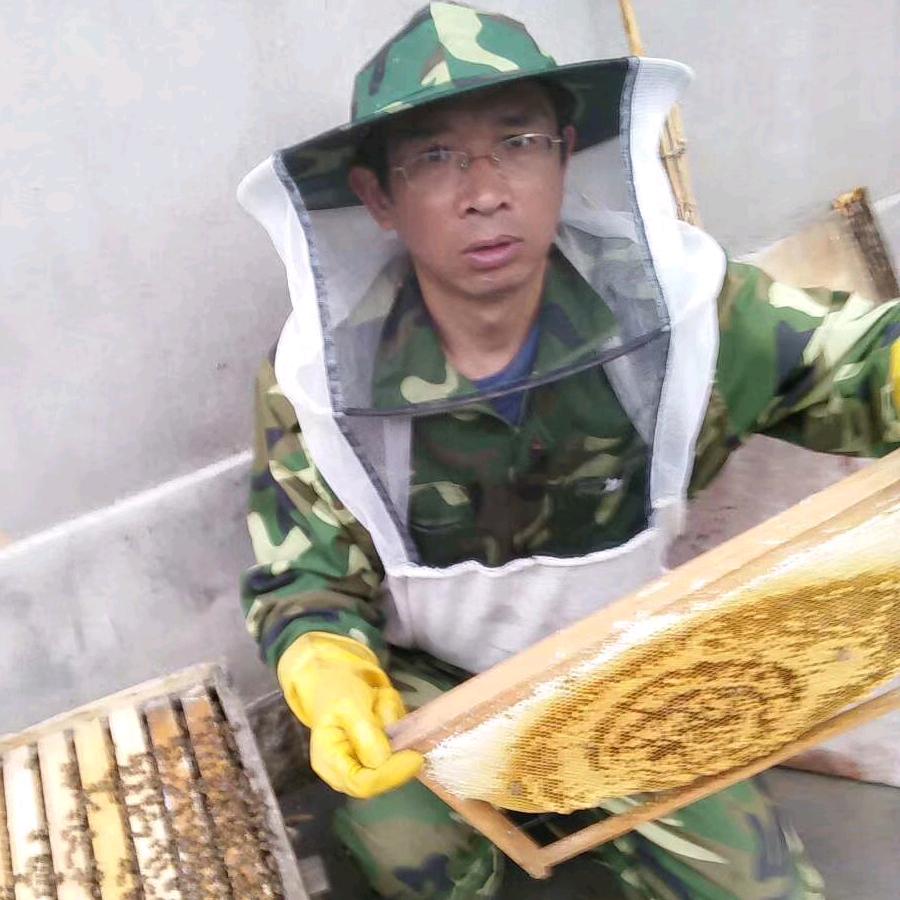 汪坑中华土蜂养蜂场