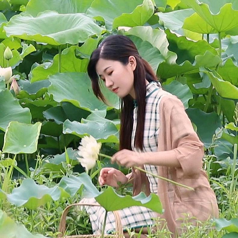 梦寻记
