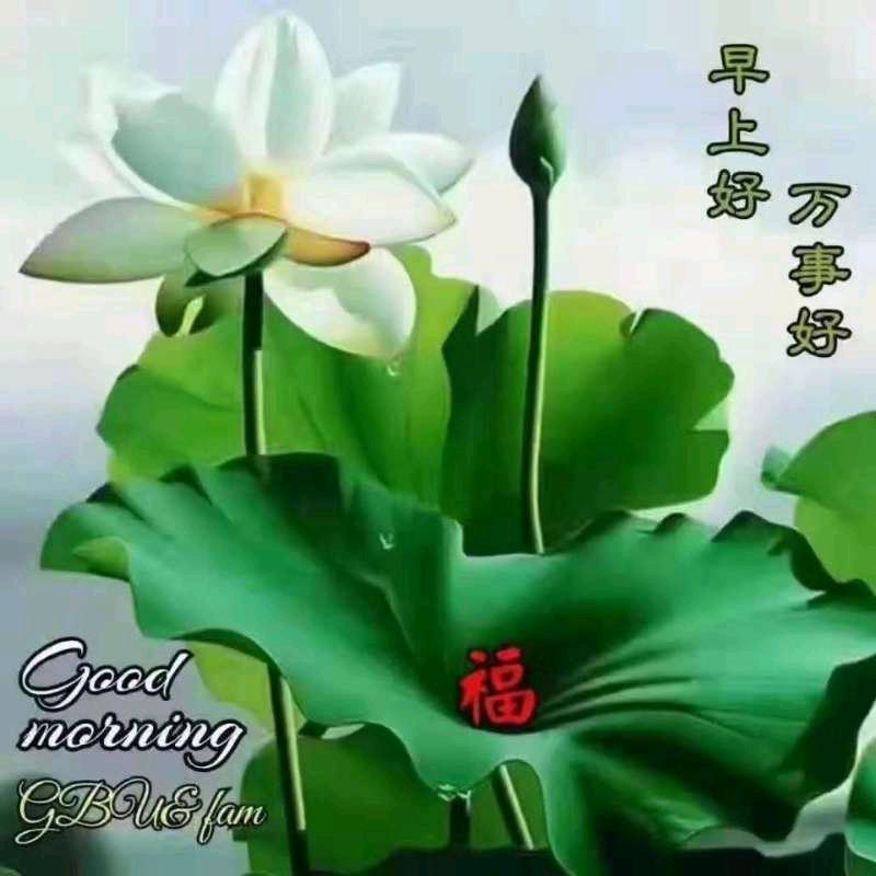 天予天成（有关必回！弘扬正气反对黄假骗！