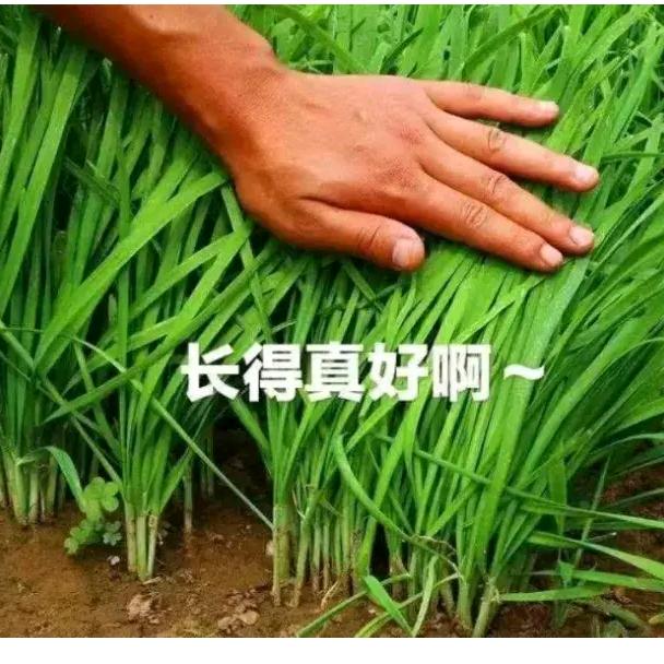 清官门