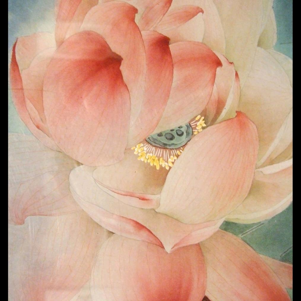 🌷岁月静好
