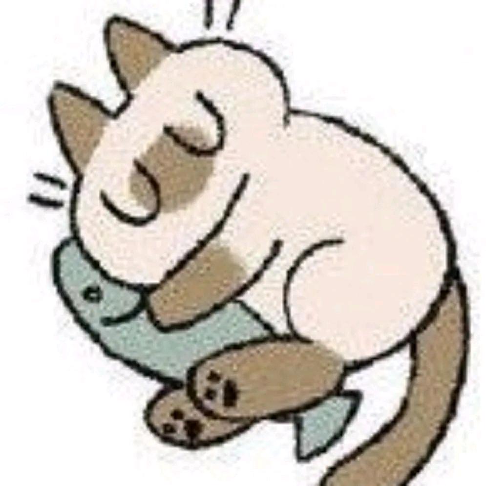 雾雾