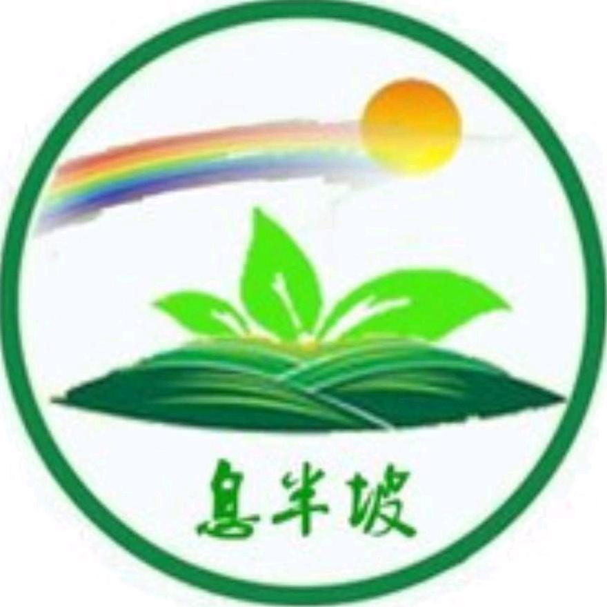 豫南小农民-王金合