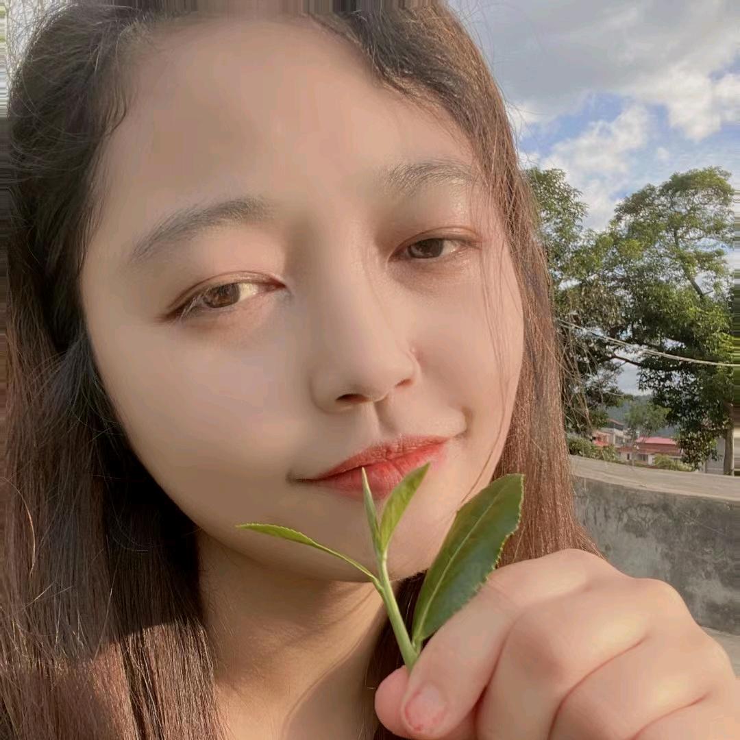 燕子茶农