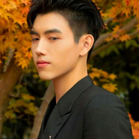 威风以过，只剩苍桑