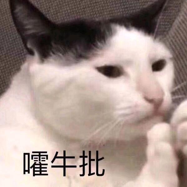 @大饼哥