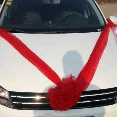 🌺🌺喬喬🌺🌺