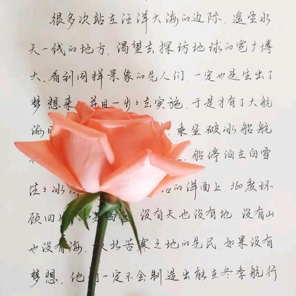 隐冉