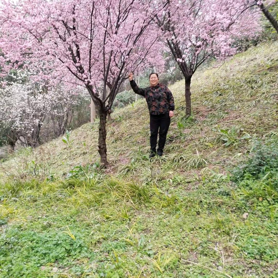 赵秀华