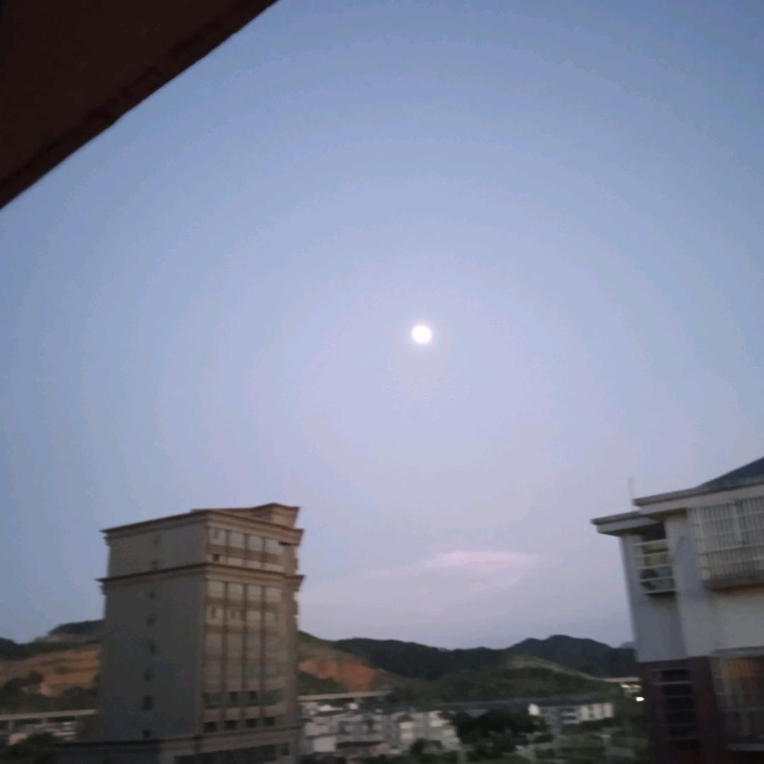 草原上的放牛娃