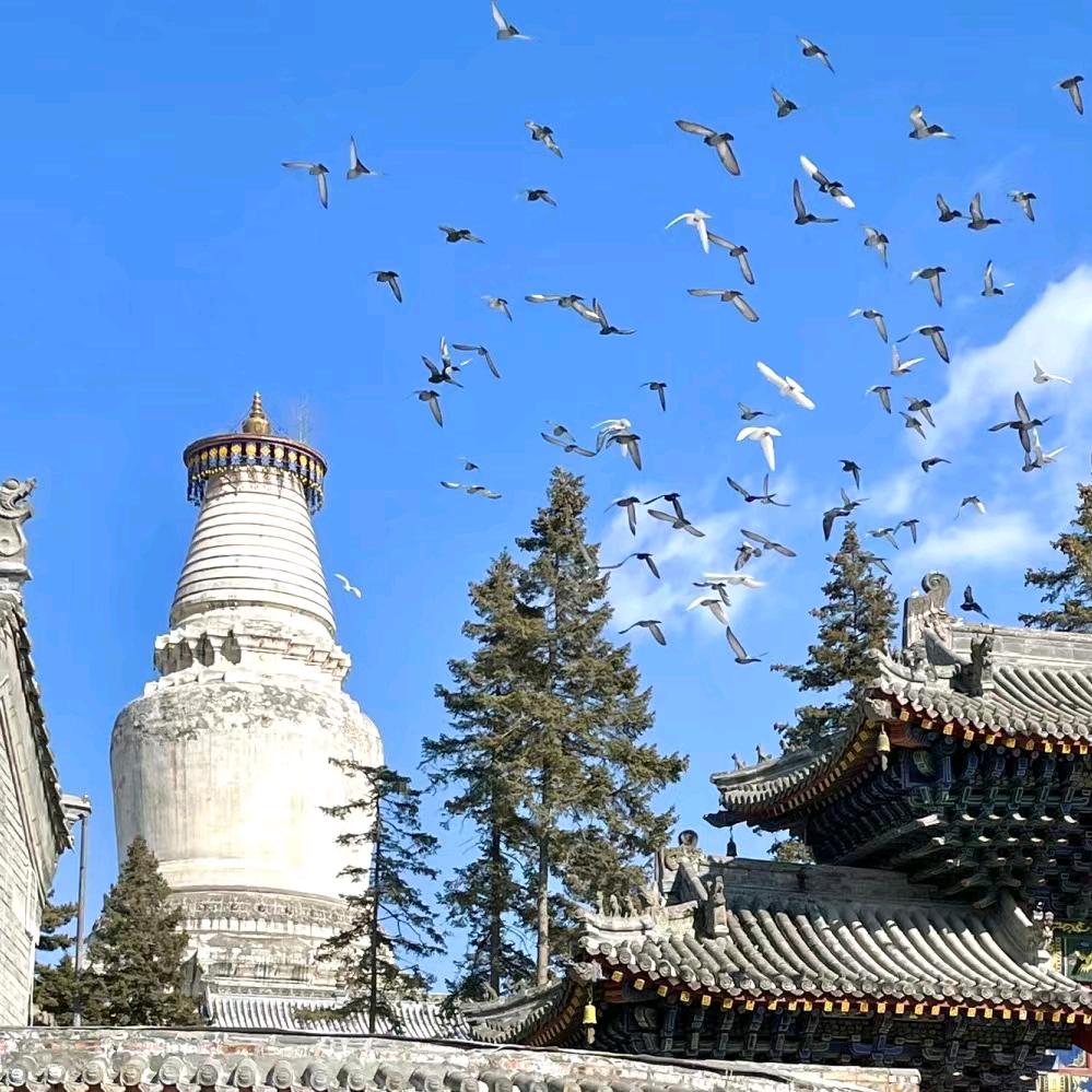静静在五台山小号