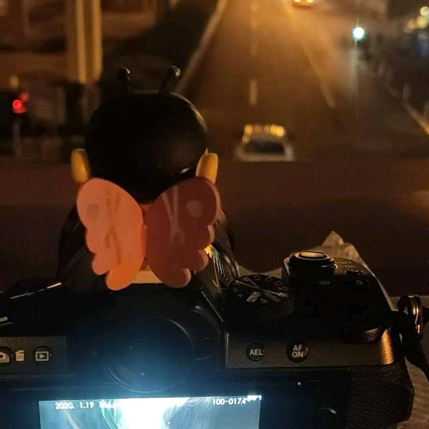 我想爷爷奶奶