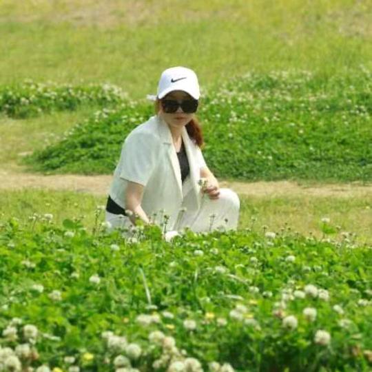 燕舞飞