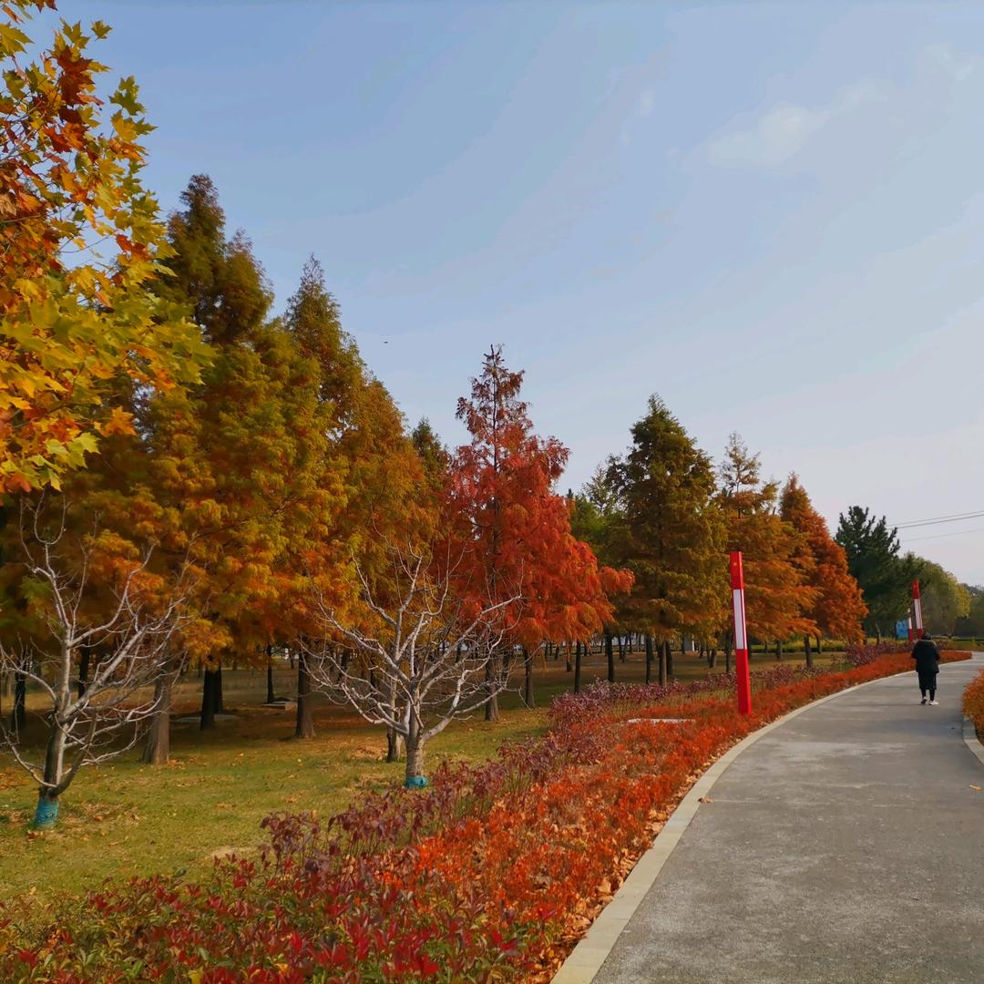 崇岩