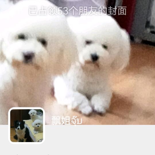 保护好自己