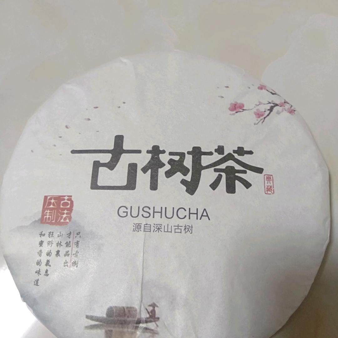 万明山 古树茶
