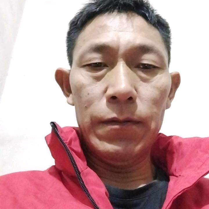 琴有独钟
