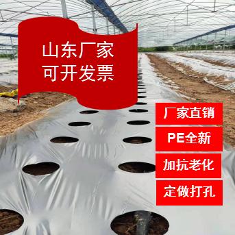 山东地膜棚膜专业工厂