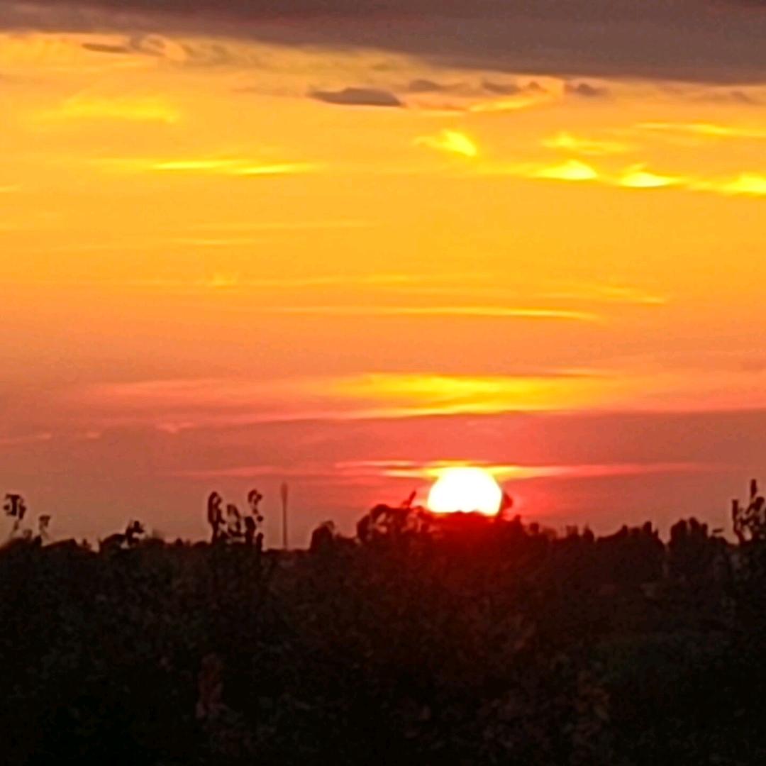 随遇而安🌻️🌼️🌸️