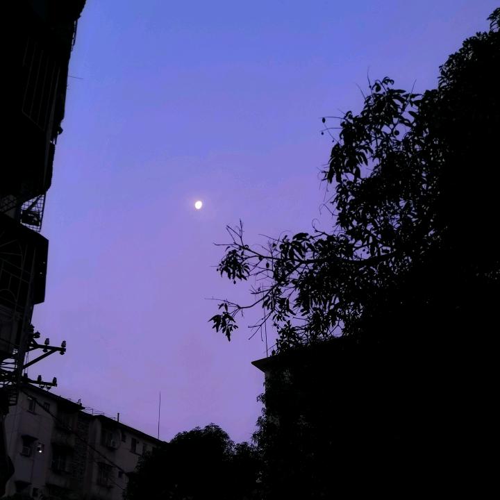 夜游神人_