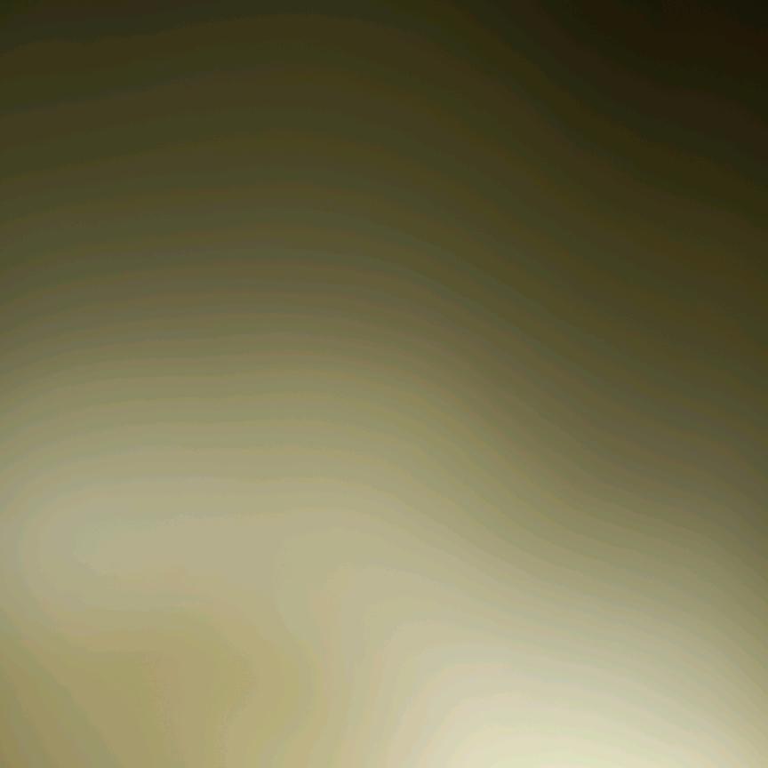 张贵明