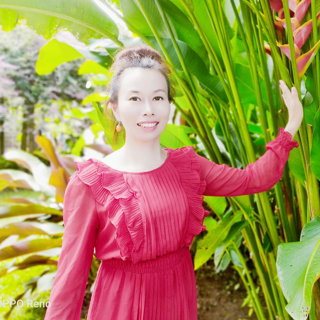 圃美多金兰