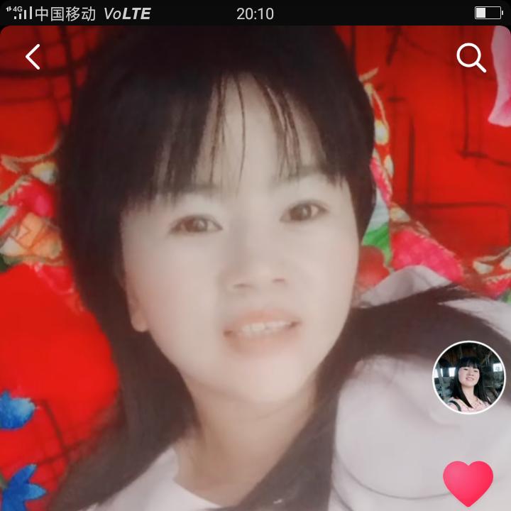 麦芒家族天天开心