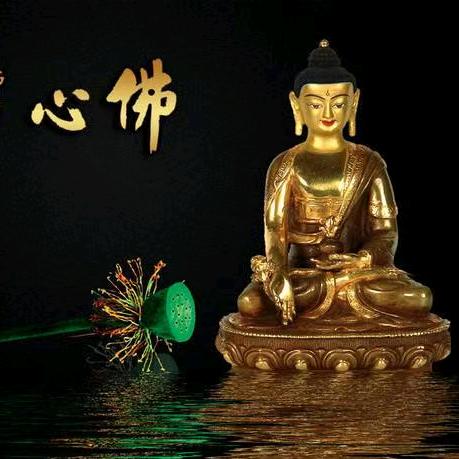 🕹自在