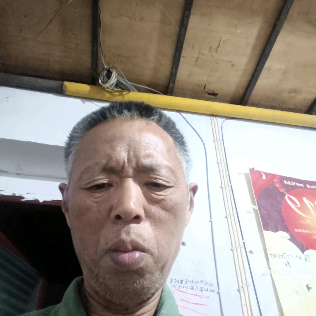 兔子飞