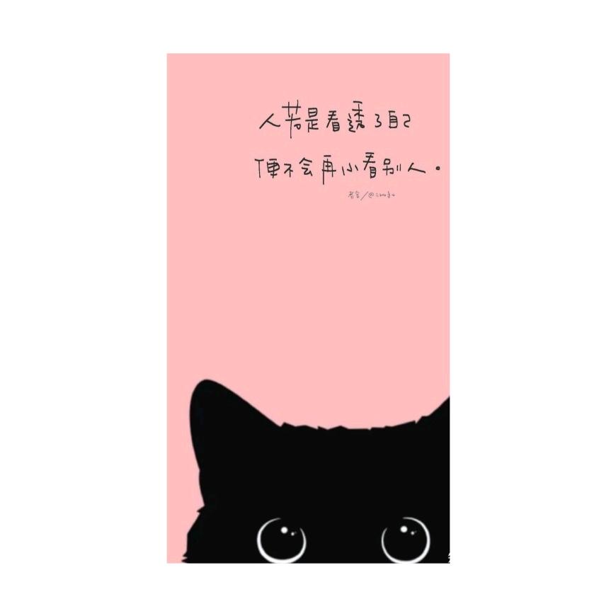 黑灵猫