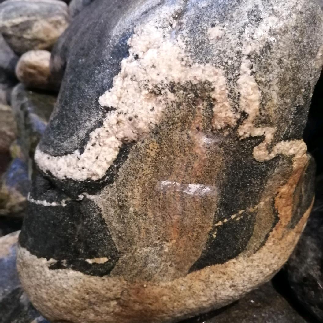 天空飘来五个字那都不是事