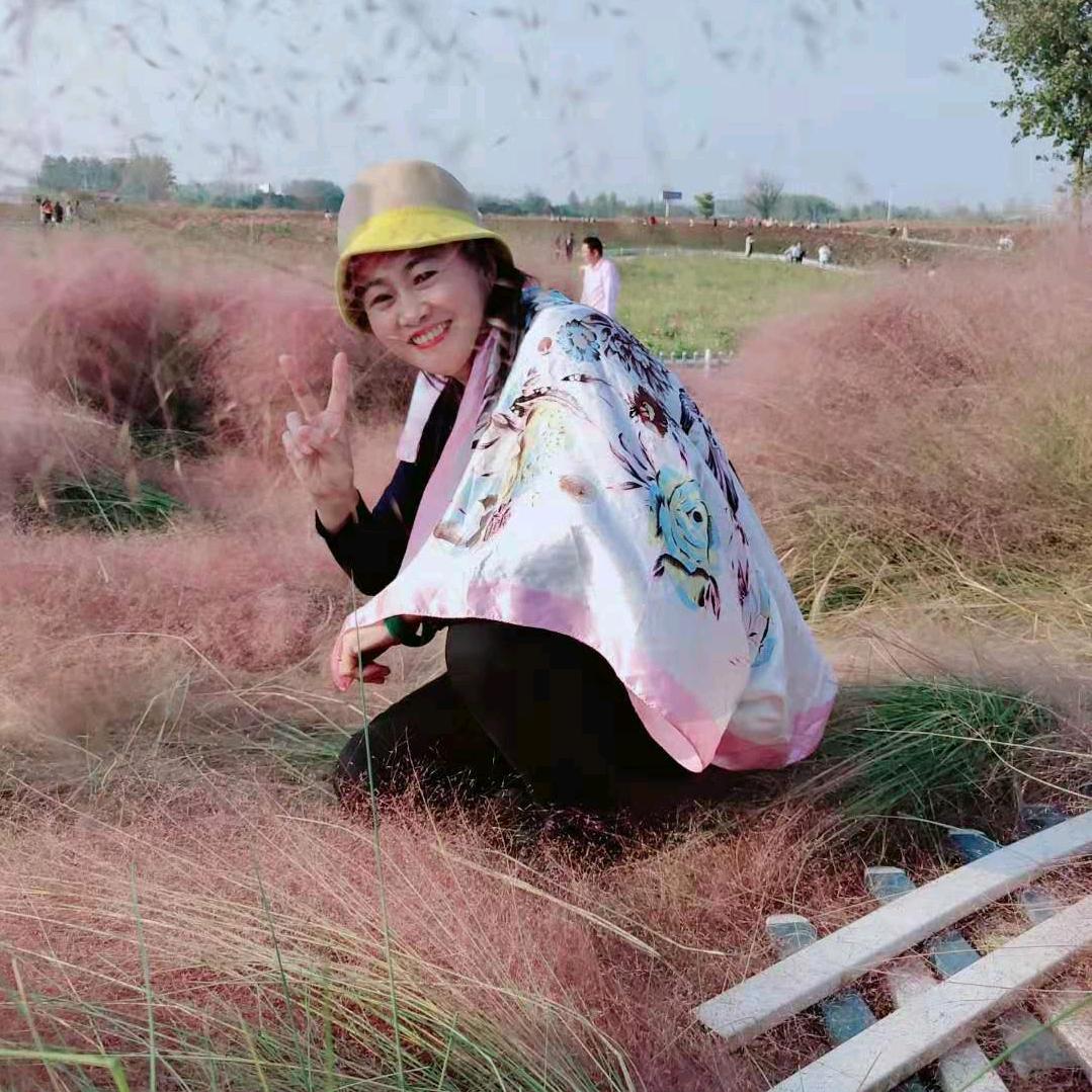 用户大侠
