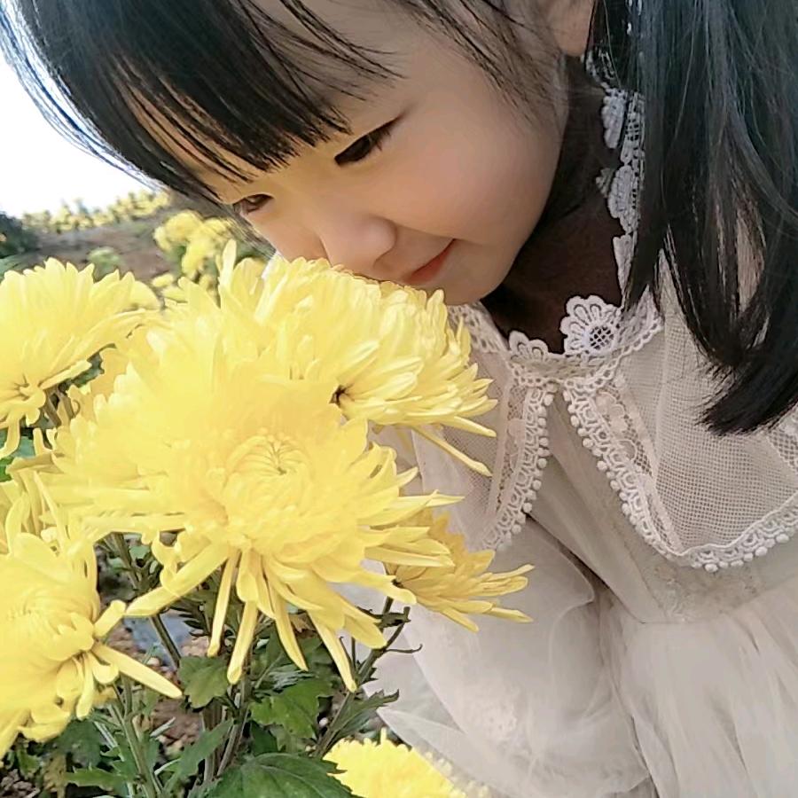 猜不透的迷【拒绝私聊】