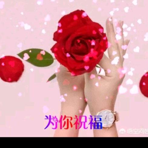 重生💕文萍🌻