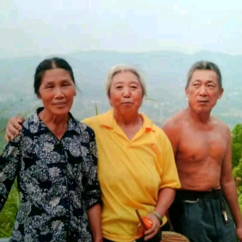 逐梦飞翔