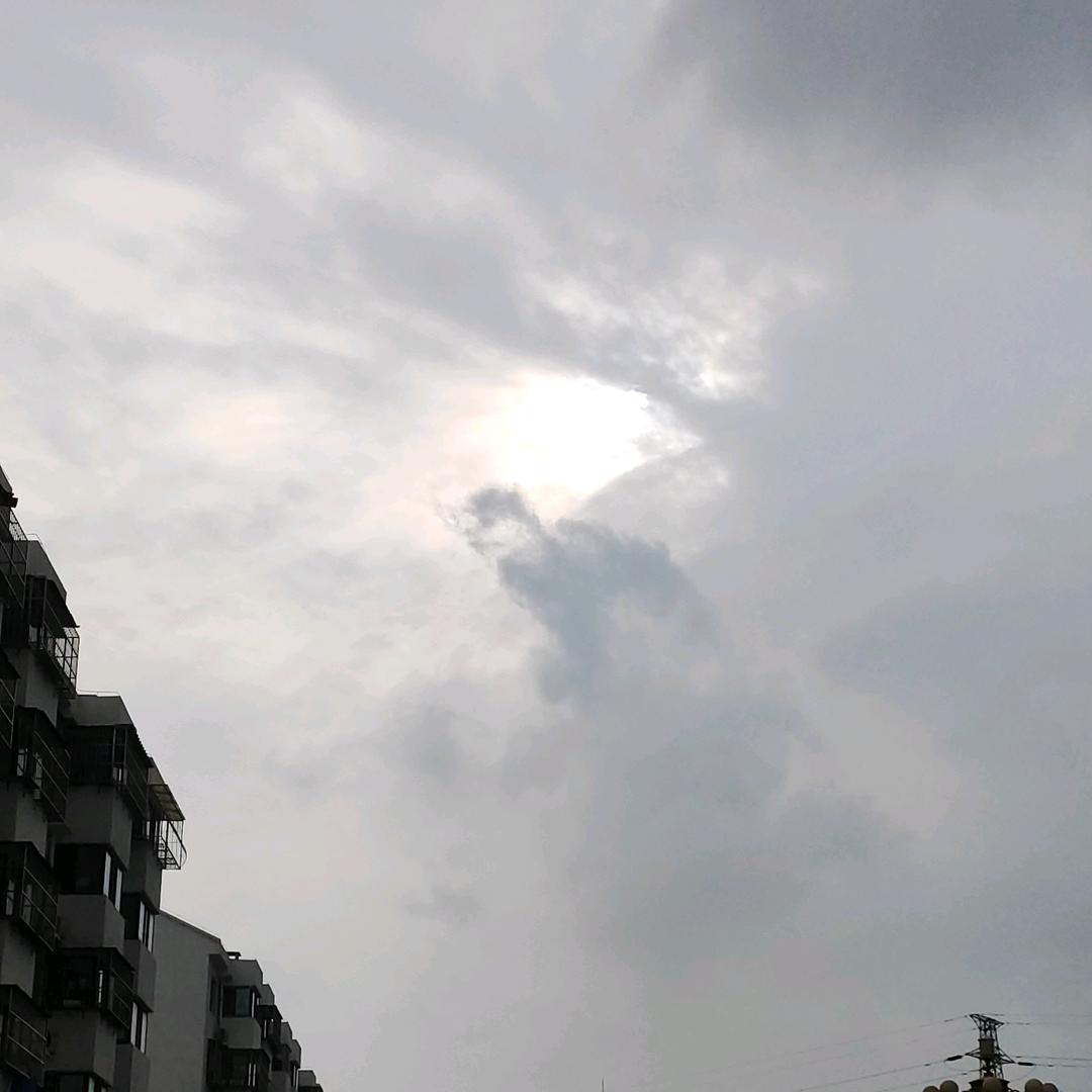 🌈🌈🌈红尘如梦（DXF科技）