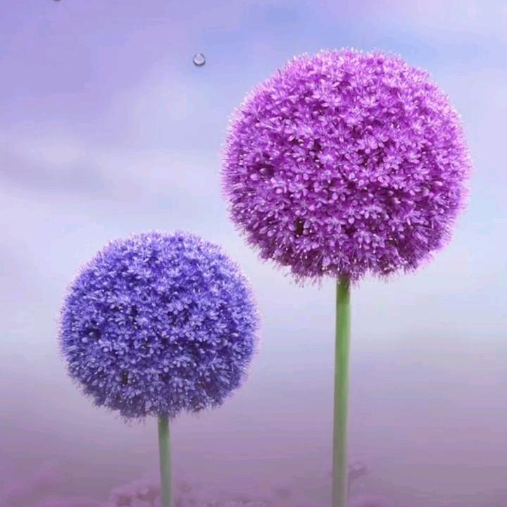 开心快乐每一天