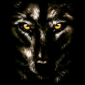 狼 帶著雨的小孩