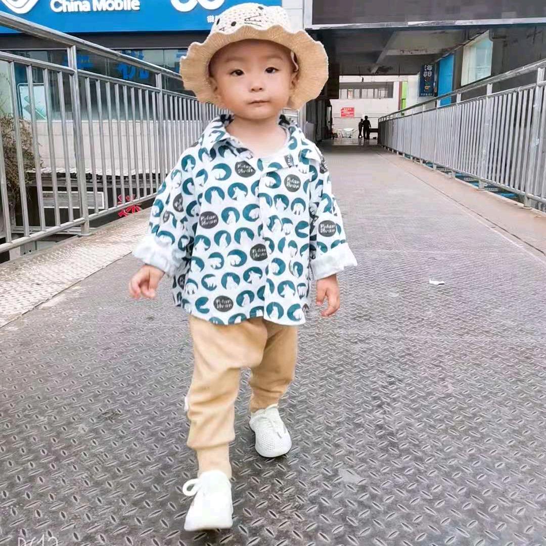 王者归来兮