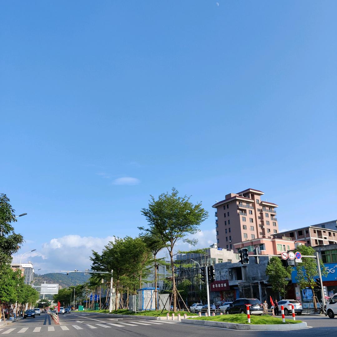 北极吃果果