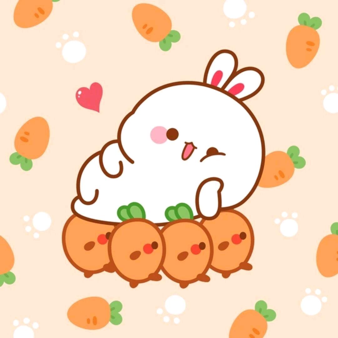 风吹⁰⁴¹⁵