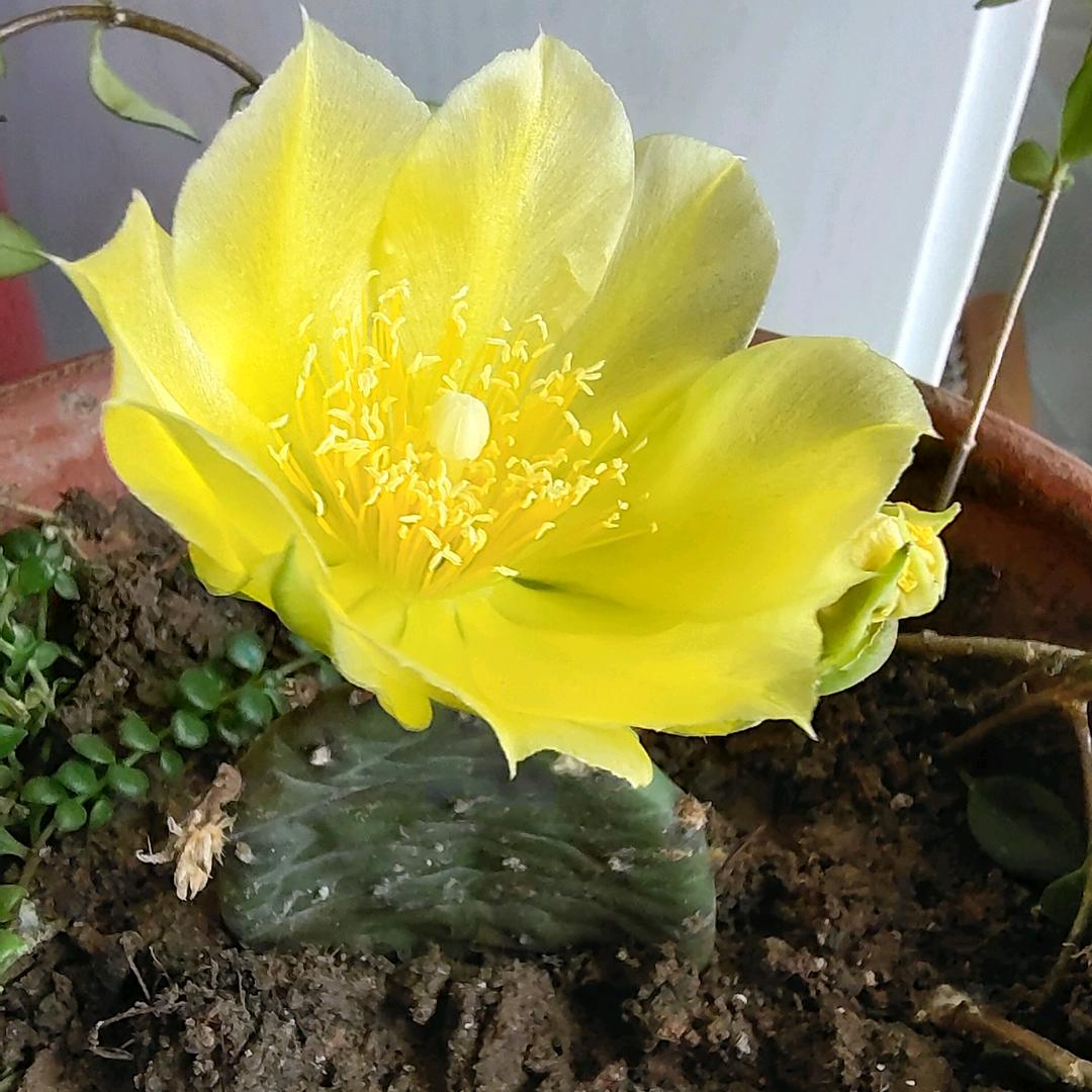 顺其自然